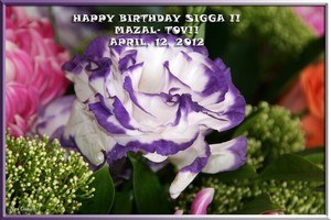 Birthdays