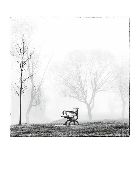 Bench