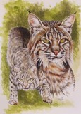 by Barbara Keith