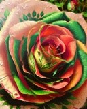 by Vicki Pelham