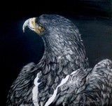by Justin Dancing Hawk