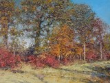 by Cindy Sugg