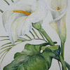 Watercolors