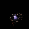 Crexis